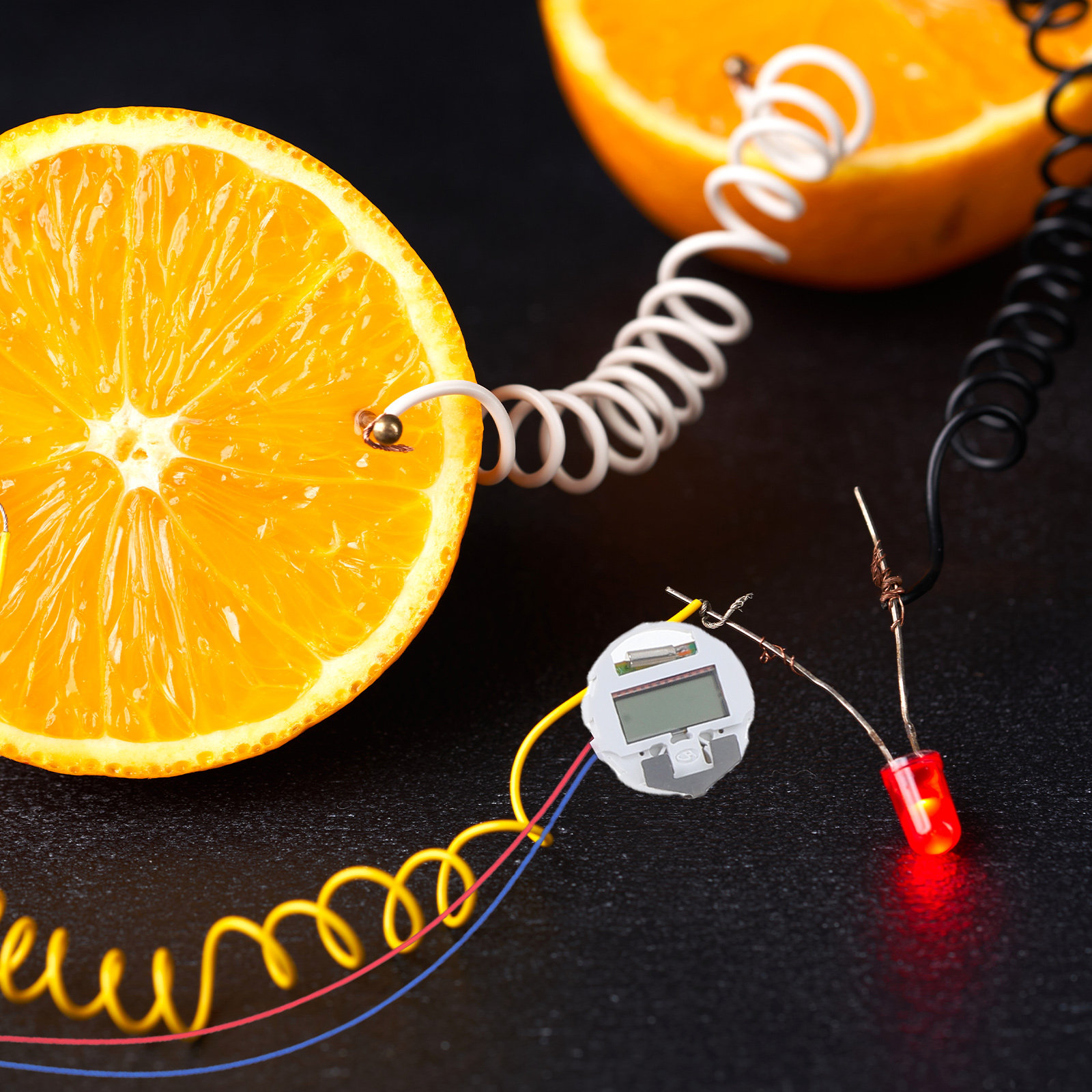 Набор для эксперимента с фрукт – обзор и цена Science Project Physics